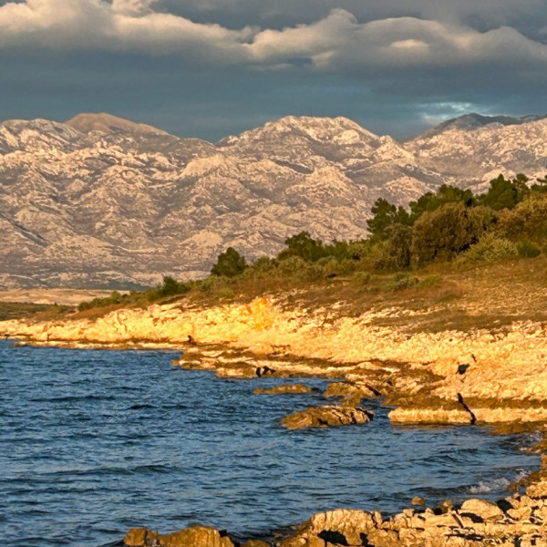 Bathroom / WC, Villa Zubčić - Vrsi Mulo, Apartmani Zubčić Vrsi Mulo Vrsi