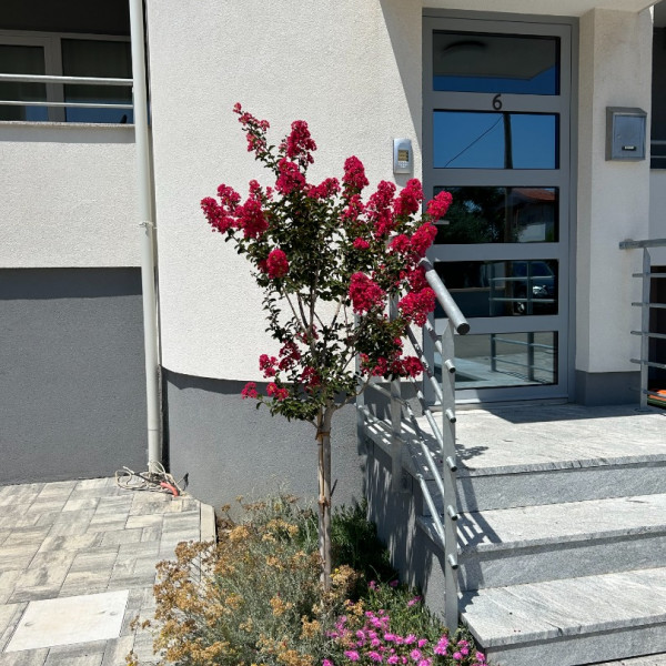 Villa Zubčić - Vrsi Mulo, Apartmani Zubčić Vrsi Mulo Vrsi