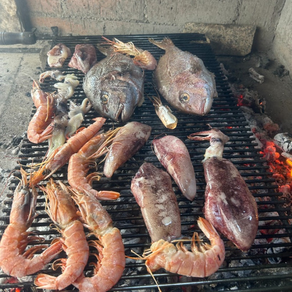 Kitchen, Villa Zubčić - Vrsi Mulo, Apartmani Zubčić Vrsi Mulo Vrsi