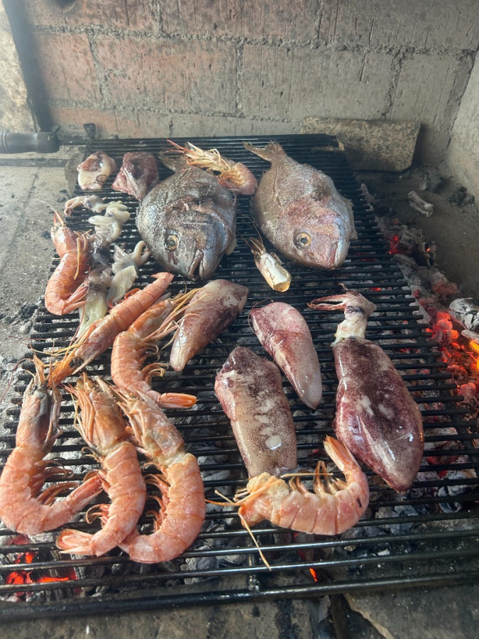 Villa Zubčić, Apartmani Zubčić Vrsi Mulo Vrsi