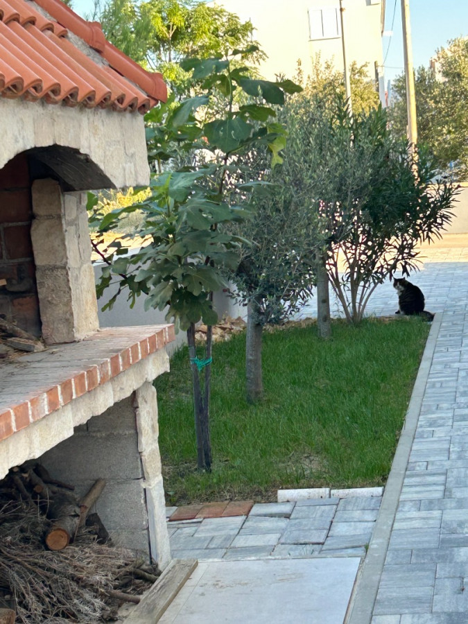 Villa Zubčić, Apartmani Zubčić Vrsi Mulo Vrsi