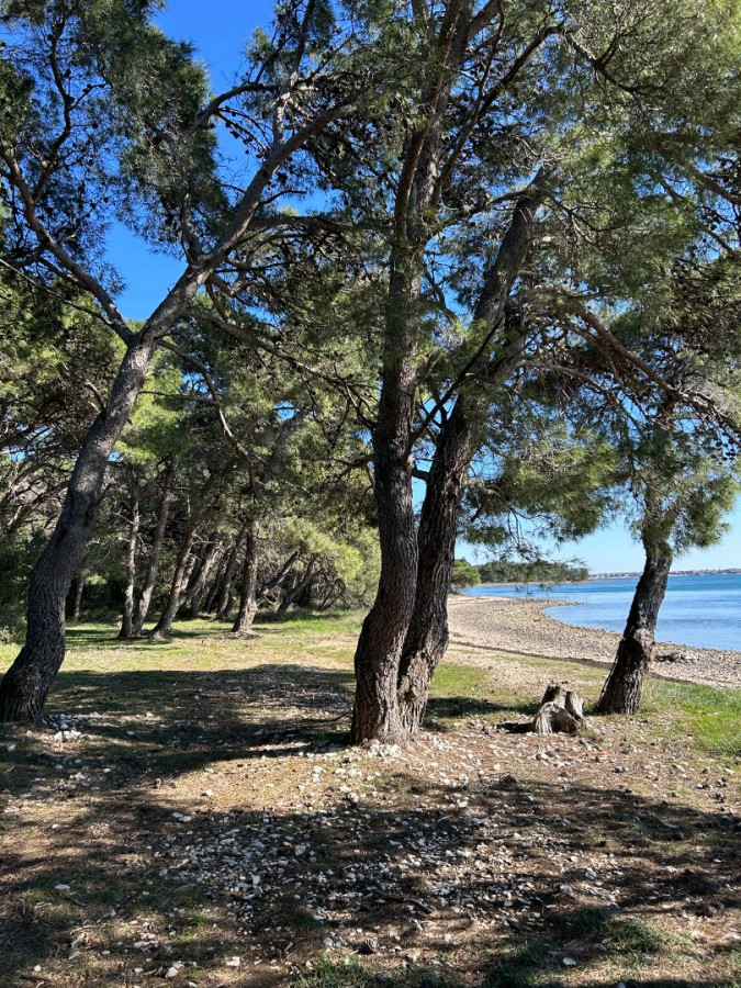 Surroundings & nearby area, Apartmani Zubčić Vrsi Mulo Vrsi
